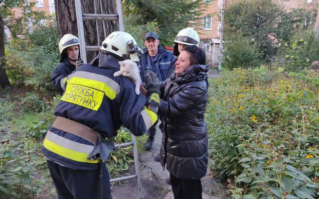 � ����� ������������ ����� ���� � ������