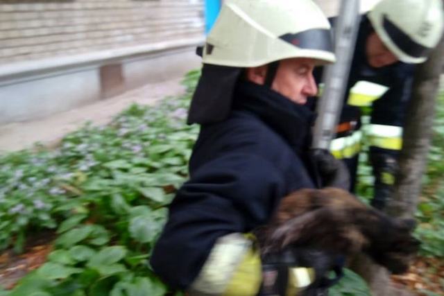 � ������ ����������� ������ �������� �101� ���������� �������� ��������, ����������� � ������� ��������