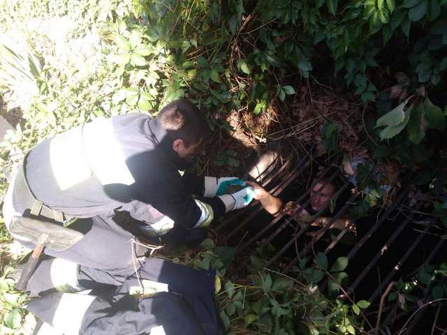 � ������ ������������� ������ ���������� ������