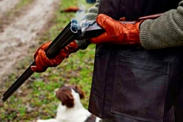 � ������ ������� �� ����� �������� ���������� ������ ����