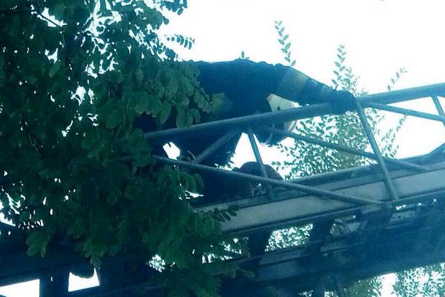 � ������ ��������� ����� ����, ������� ����� �� ������ �� ������ 8 ������