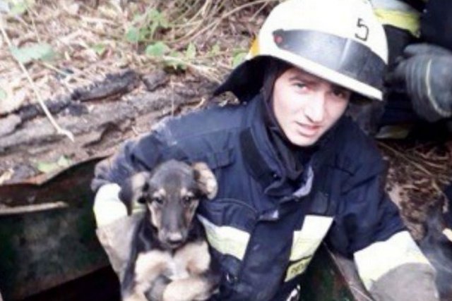 � ������ ������ ���������� ��������� ����� �� �������