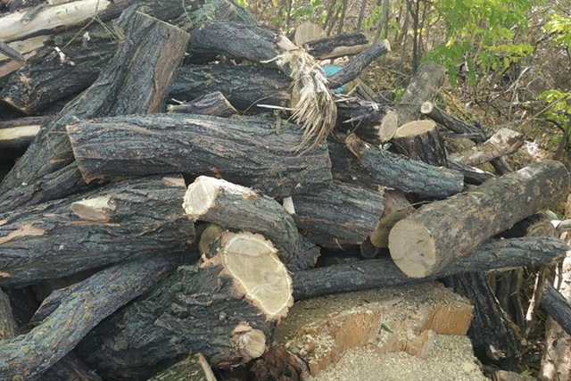 ������ ������� ���������  � ��������� �����������, ������������  ������� � ������� 