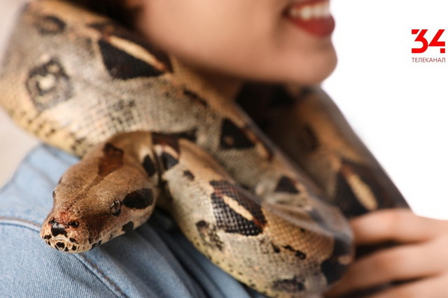 �������� ��� ���� ����� �������� ��������� ��������