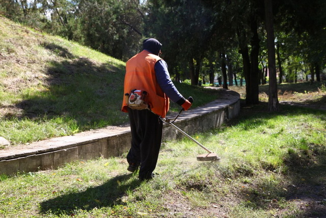 Почему реконструкция Севастопольского парка в Днепре поставлена на паузу