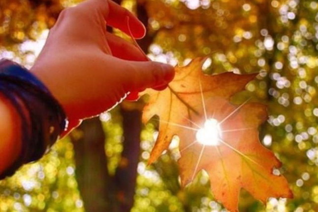 Циклон Стефания принесет в Днепр настоящее бабье лето