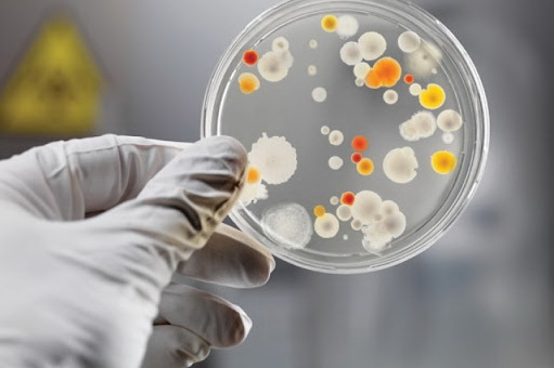 Сказ, малярія, лептоспіроз: епідеміологічна ситуація в області