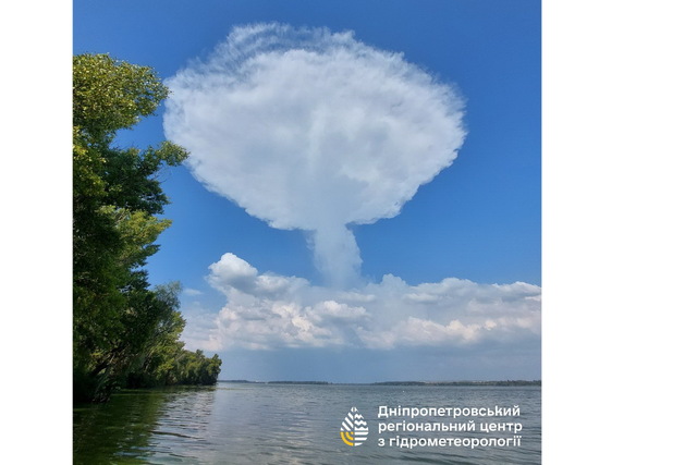     :      Cumulonimbus capillatus