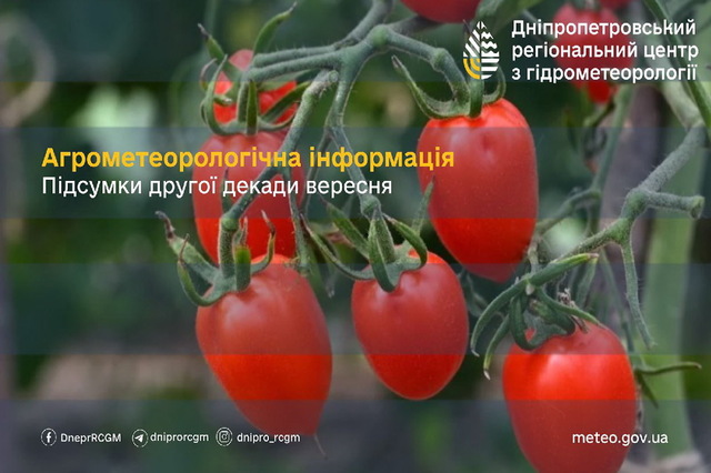 �������� �� ��������� �����, �� ���������������� �����������  ������� ��������� ������