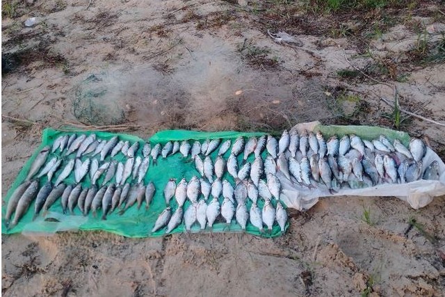 Убытков более чем на 174 тыс. грн. На Каменском водохранилище выявили нарушителя правил рыболовства