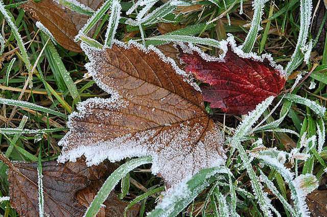 У Дніпрі та області очікуються заморозки на поверхні ґрунту