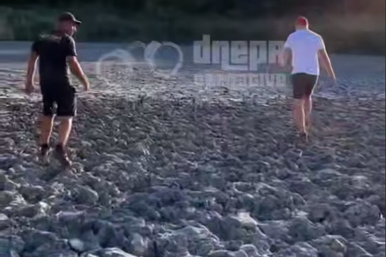 Черговий ставок на Дніпропетровщині перетворився на пустелю