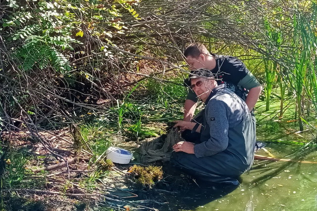 У Дніпровсько-Орельському заповіднику підраховують мешканців водного світу