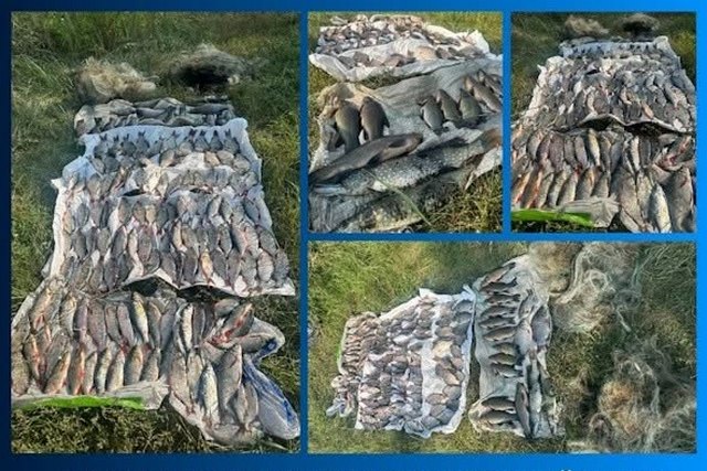 Рибоохоронний патруль викрив рибалку-брокон’єра: розмір нанесенної шкоди — 222 020 грн