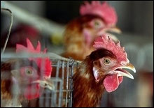 ��� ������� ���������� �������� �������� �� ��������� �� ���������������� ������� ��������� �� �� ���������