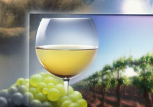 ��������� ������ � �������� ������ ����������� �� ����������� ��������