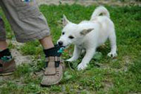 ������������ � �������