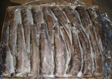 �� ����� ��� ������� �������� ����