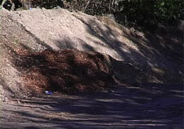 �������������� ������ ������ ����� �� �������� ������