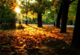 ����� �����������: ������ � ������ � 2010�