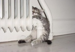 �� ������� ������������ 78% �������� � 74% ����� �����