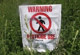 ����� �������� ������ ������� �� ��������� �������