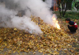 ������� ���������� ���� ��� ������ �������� ������ ������� ������������ ������������� ���������