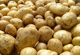 � ���������������� ������� ������� �� 27% ������ ���������, ��� � ������� ����