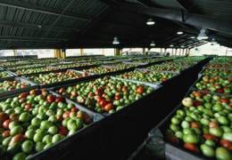 � ���������������� ������� �������� 15 ����������� �������������