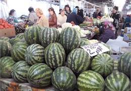 ����������� ������ - ����� ��������