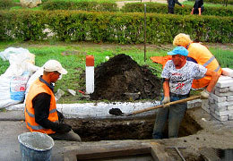 � ���������������� �������� � ������� �������� �����������