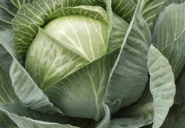 ���� �� ������� � ������� ���������� �� ��������� �� 5 ���