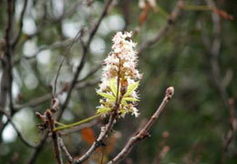 � ���������������� ������� �������