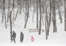 ���� ����� ����� �������� �� ��������� 20 ���