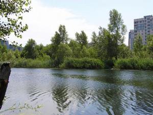 ������������������ ���������������, ��������� ������������ ����, ��������� � ���������������