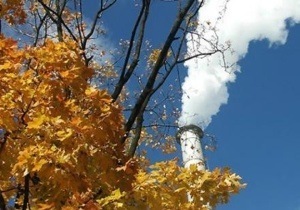 � ������� 10 ���� ����� ����� �� ���� ����� ���������������