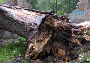 � ���������������� ���������� ������ �������