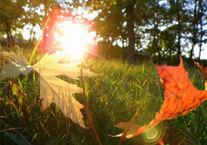 � ������� ������ ���� ����������� ��� ������