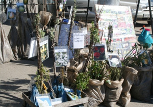 � ���������������� �������� ������� �� ������� �����, �������� � �������������� ���������