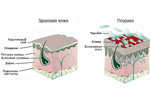 10-30 ������� 2013 ������� ��� ������ � ���������