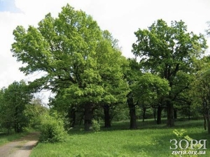 ������ ���� � ��������� ����������� �� ���� ��� ��������