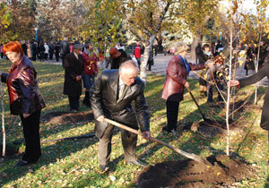 � ���������������� ������ �������