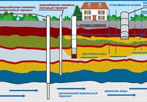 ����� 2,5 ��� ����� ��� ���������� ������������ ����� �� �������� � ������������