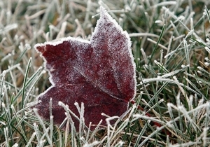 �� �������� � ������� ��������� ���������