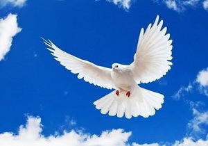 ���� ����� ����� �� �������� �� ���