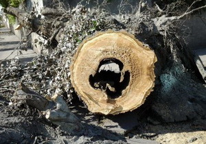 �������� ������� �������� ������ ������� � ���������������� �� �����������