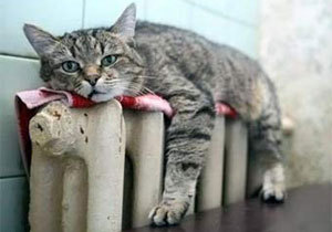 �������� �� ������ ���:  �������, ��� � ��� ����� �� ��������!