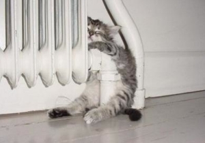 ���� � ���������� ������ ������������� ������ � ���������������