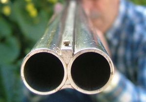 � ���������������� ������� ����������� �������, ������� ����� ������ ������� ����