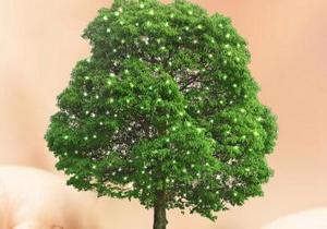 � ������� ��������� ����� ��������� ��������������